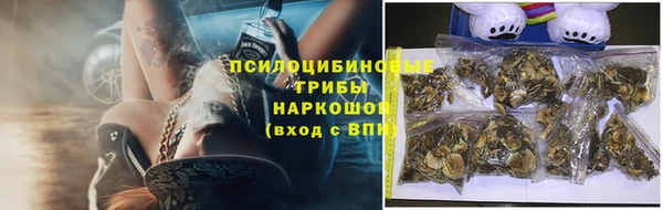 гидропоника Осинники