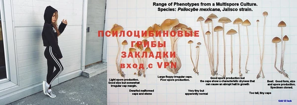 2c-b Вяземский