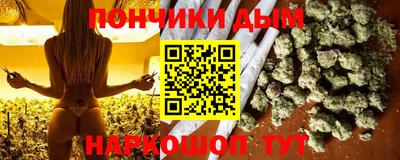 крисы Бийск