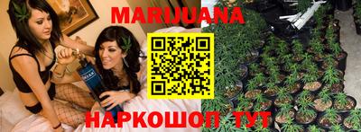 крисы Бийск