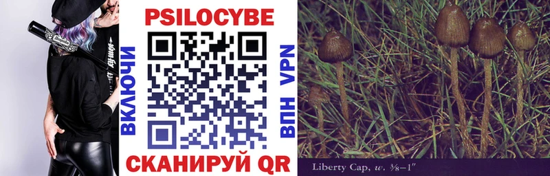 Псилоцибиновые грибы Psilocybe  Грязи 