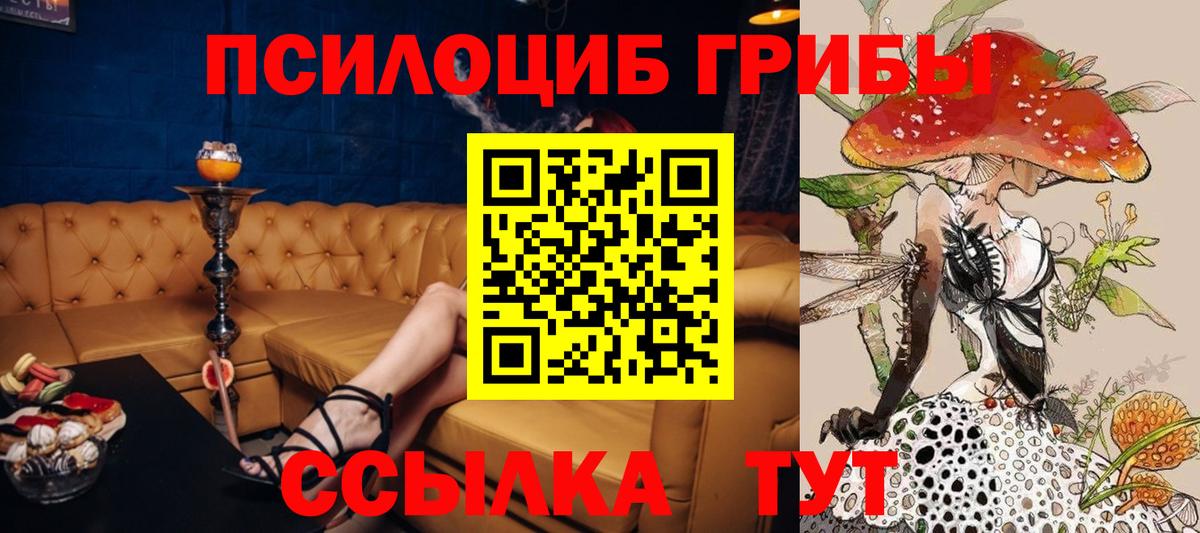 Грязи  Галлюциногенные грибы Cubensis  Вход с VPN 